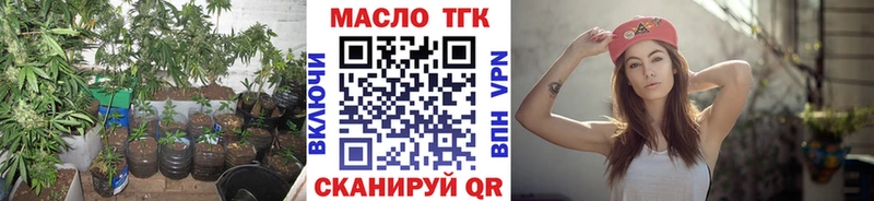 Купить закладки  Карабаново  ТГК гашишное масло 