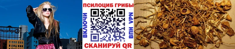 Псилоцибиновые грибы Psilocybine cubensis  Купить  Карабаново 